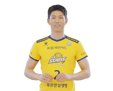 Kb스타즈 Sticker by KB STARS VOLLEYBALL CLUB