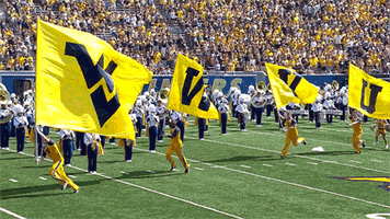 College Sports Football GIF by WVU Sports