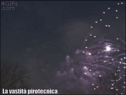 vastita cazzochecenefrega GIF