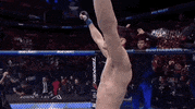 Mixed Martial Arts Sport GIF by UFC
