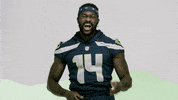 Russell Wilson Football GIF by Seattle Seahawks