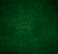 Ich Bin Ein Star Dab GIF by RTLde