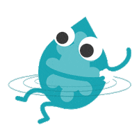 vasyd drop bob wash bada Sticker