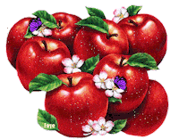 apple sparkling STICKER