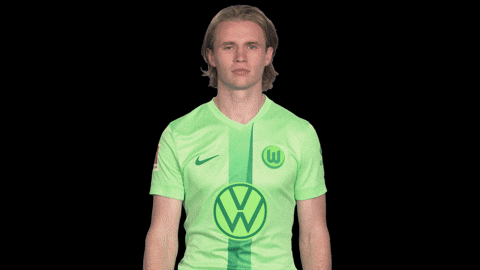 Bundesliga No GIF by VfL Wolfsburg