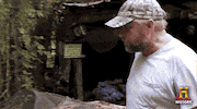swamp people lol GIF