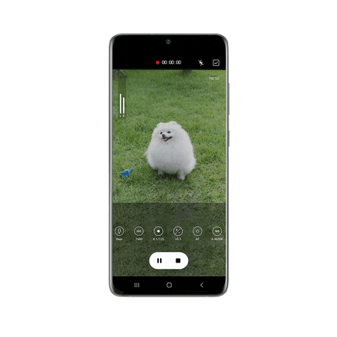 eddroos giphyupload GIF