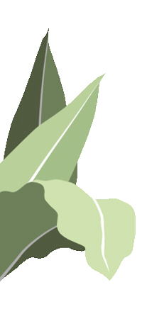 Green Sticker by Flower Farm
