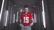 Football Brush Off GIF by Wisconsin Badgers