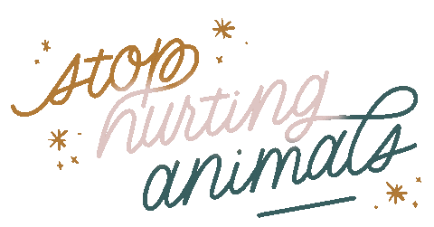 kerstinbrueller giphyupload vegan lettering gradient Sticker
