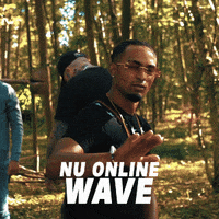 Newstateanthem swipe up wave diego falk GIF