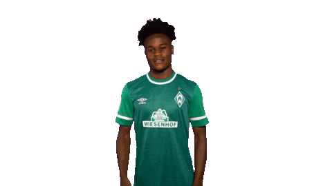 An17 Sticker by SV Werder Bremen
