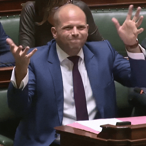 de_nva giphyupload theo mwa twijfel GIF