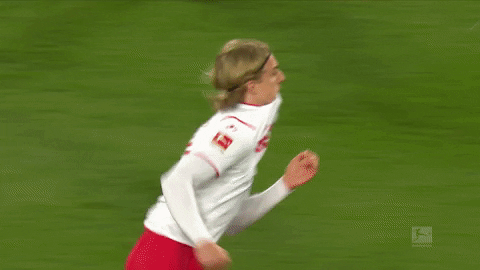 1 Fc Cologne Football GIF by 1. FC Köln