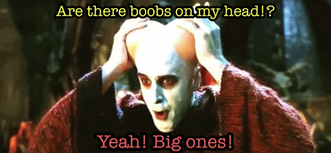 Are There Boobs On My Head GIF