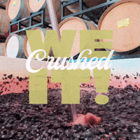 GIF by Odell Brewing Company