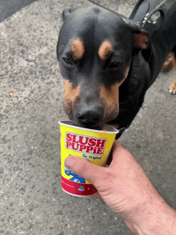 Puppie GIF by Winkel