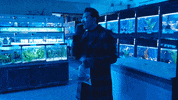 Dan Levy Christmas GIF by HULU