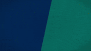 All Access Mariners GIF by ROOT SPORTS NW
