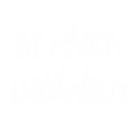 Budapest Pest Sticker