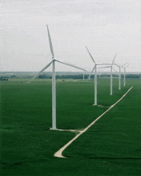 Go Green GIF by Jocqua