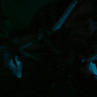 Scared Season 2 GIF by Paramount+