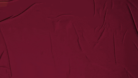 College Baseball GIF by Pearl River Athletics