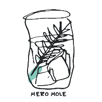 Gin Sticker by Mero Mole