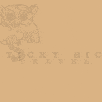 GIF by Stickyricetravel