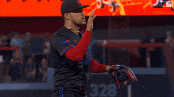 Major League Baseball Sport GIF by MLB