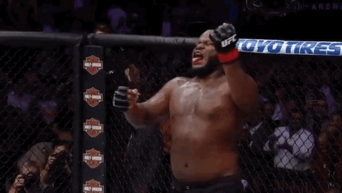 ufc 229 sport GIF by UFC