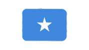 emojivid emoji flag emojivid somalia Sticker