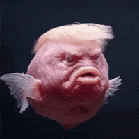 Trump Resist GIF by Maryanne Chisholm - MCArtist