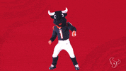 Excited Nfl GIF by Houston Texans