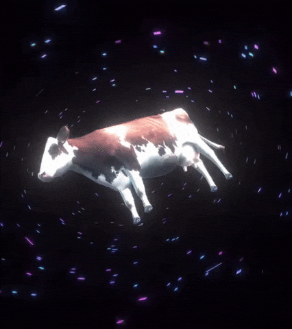 heidigracebells  GIF