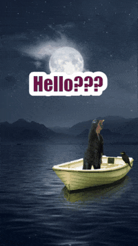 Weg Hallo GIF by Münzenversandhaus Reppa