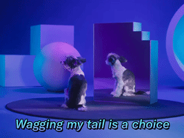 Wagging My Tail Is A Choice...