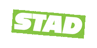 stadhaarlem delft stad stichting stichtingstad Sticker