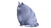 Cat Ugh Sticker by The Secret Life Of Pets