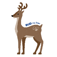 School Spirit College Sticker by UWF