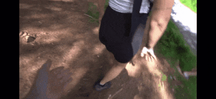 Roekoe giphygifmaker giphygifmakermobile GIF