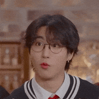 Stray Kids Skz GIF