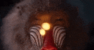 The Lion King Disney GIF