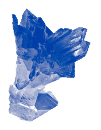 Soptata Sticker by SOPHIENSÆLE