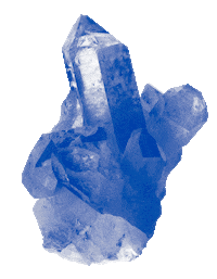 Soptata Sticker by SOPHIENSÆLE