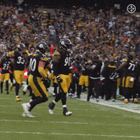 Excited Celebration GIF by Pittsburgh Steelers