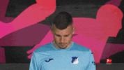 Tsg Hoffenheim Football GIF by Bundesliga