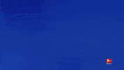 Happy Tsg Hoffenheim GIF by Bundesliga