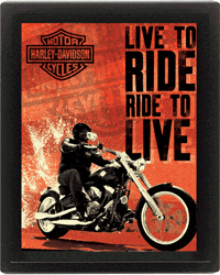 harley GIF