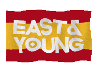 Festival Flag Sticker by East & Young